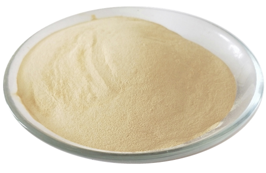 Ribonucleic acid (RNA)