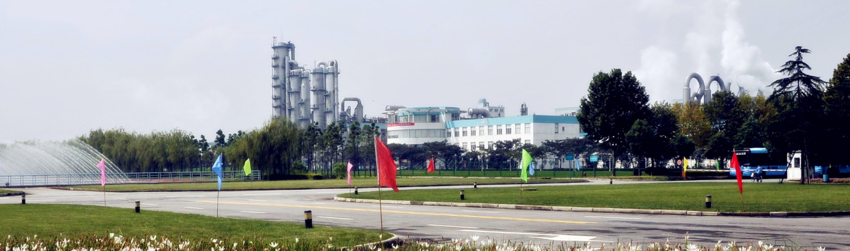 YP451 Candida utilis protein