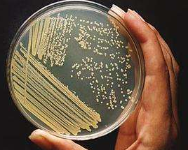 图片9.png 图片9.png