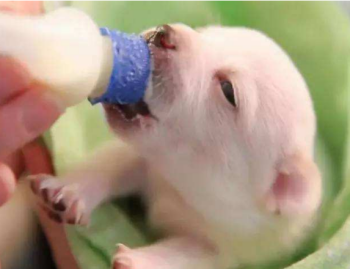 图片11.png 图片11.png