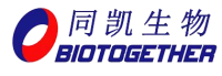 Nanyang Biotogether Co.,Ltd. - Advanced High-Nucleotides yeast Extract & Yeast RNA producer China